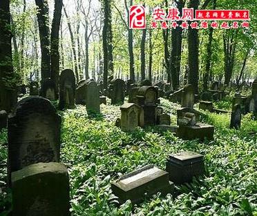 女人梦见一片坟地预兆什么（女性梦见坟地意味着什么预兆）