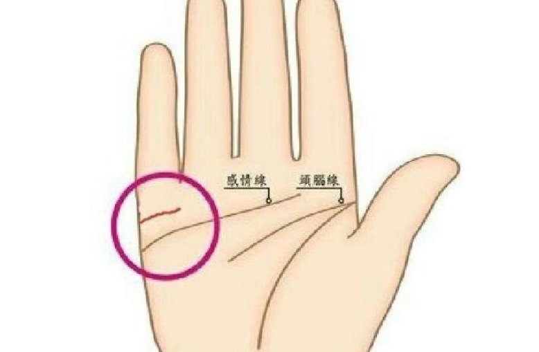 女生看手相看哪只手（探讨手相学的知识原理）