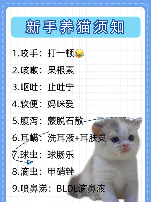 怀孕养猫 (解答怀孕期间能否养猫的问题以及注意事项)
