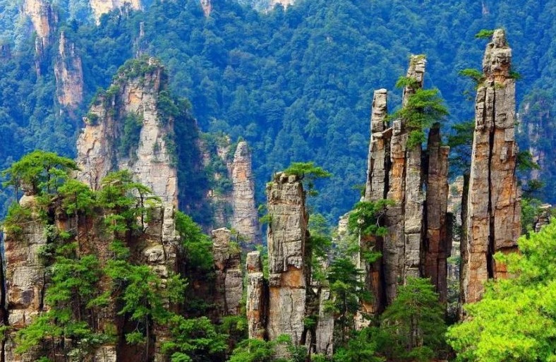 张家界景区有哪些景点(张家界旅游攻略：必游景点一览)