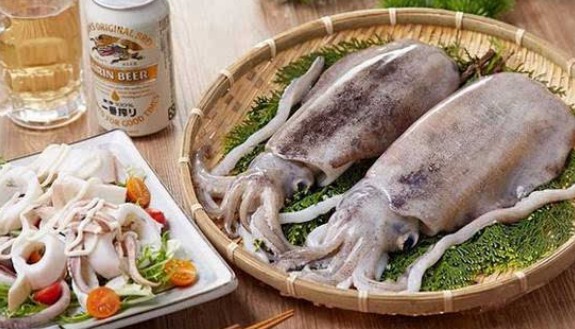 墨鱼和乌贼的区别(详细阐述墨鱼与乌贼的不同)