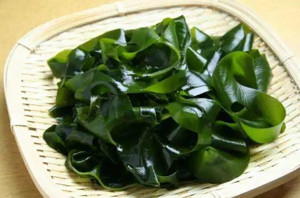 裙带菜需要泡发多久(掌握裙带菜正确泡发时间与技巧)