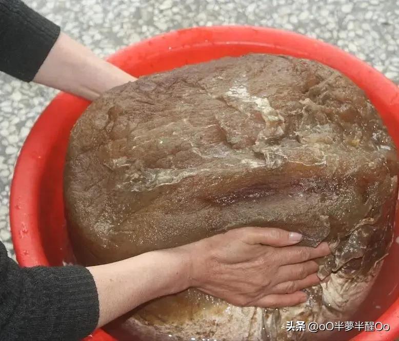 太岁是怎么形成的（民间太岁究竟为何物它有什么药用价值）