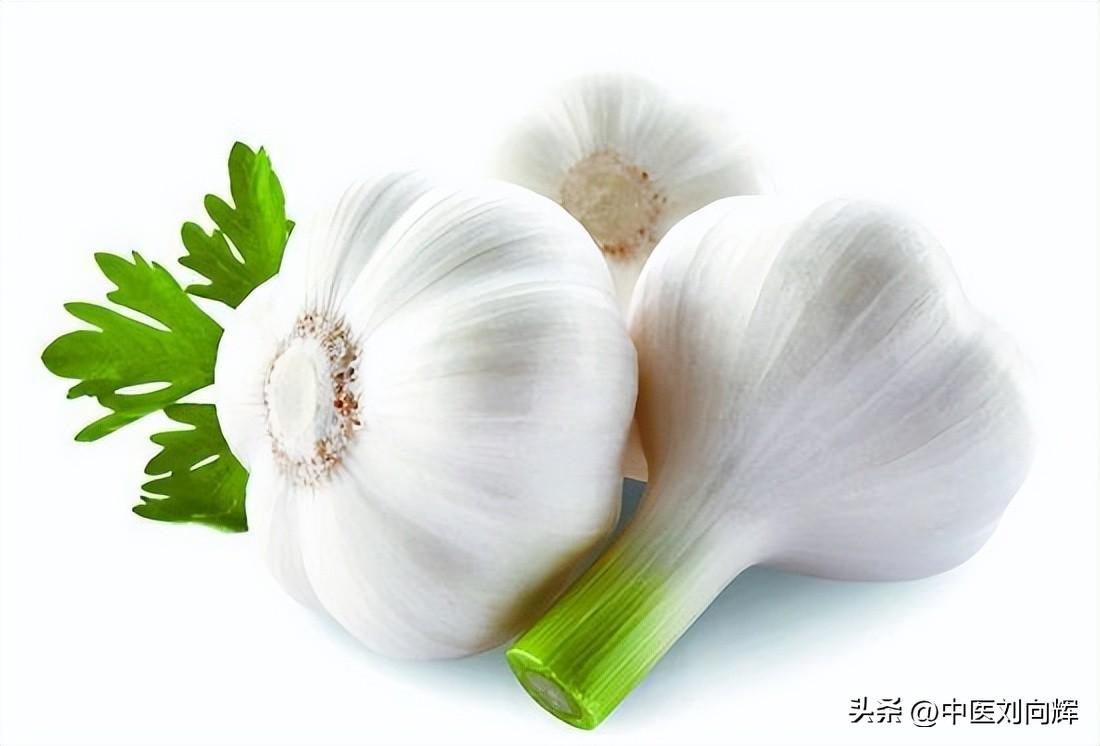 长期吃大蒜的人伤胃还是养胃（常吃大蒜对胃有害吗）
