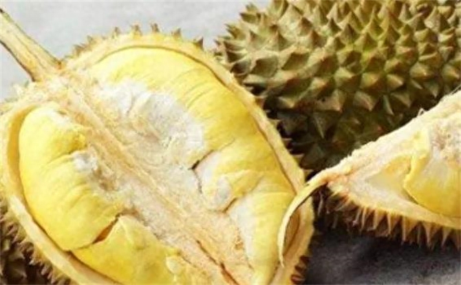 榴莲没熟可以吃吗（榴莲开了不熟怎么补救）