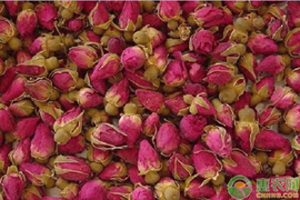 花茶有哪些品种（花茶的种类有哪些？多少钱一斤）