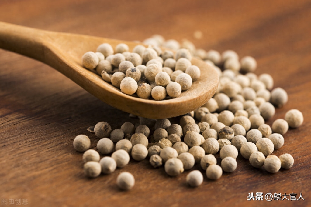 黑胡椒和白胡椒的区别（黑胡椒和白胡椒哪个好）