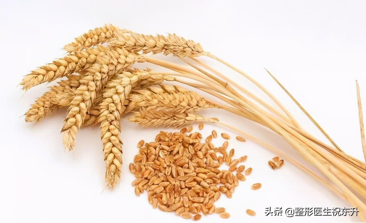 含维生素e最多的食物排行榜（医生常吃的这些食物，含维生素e最多）