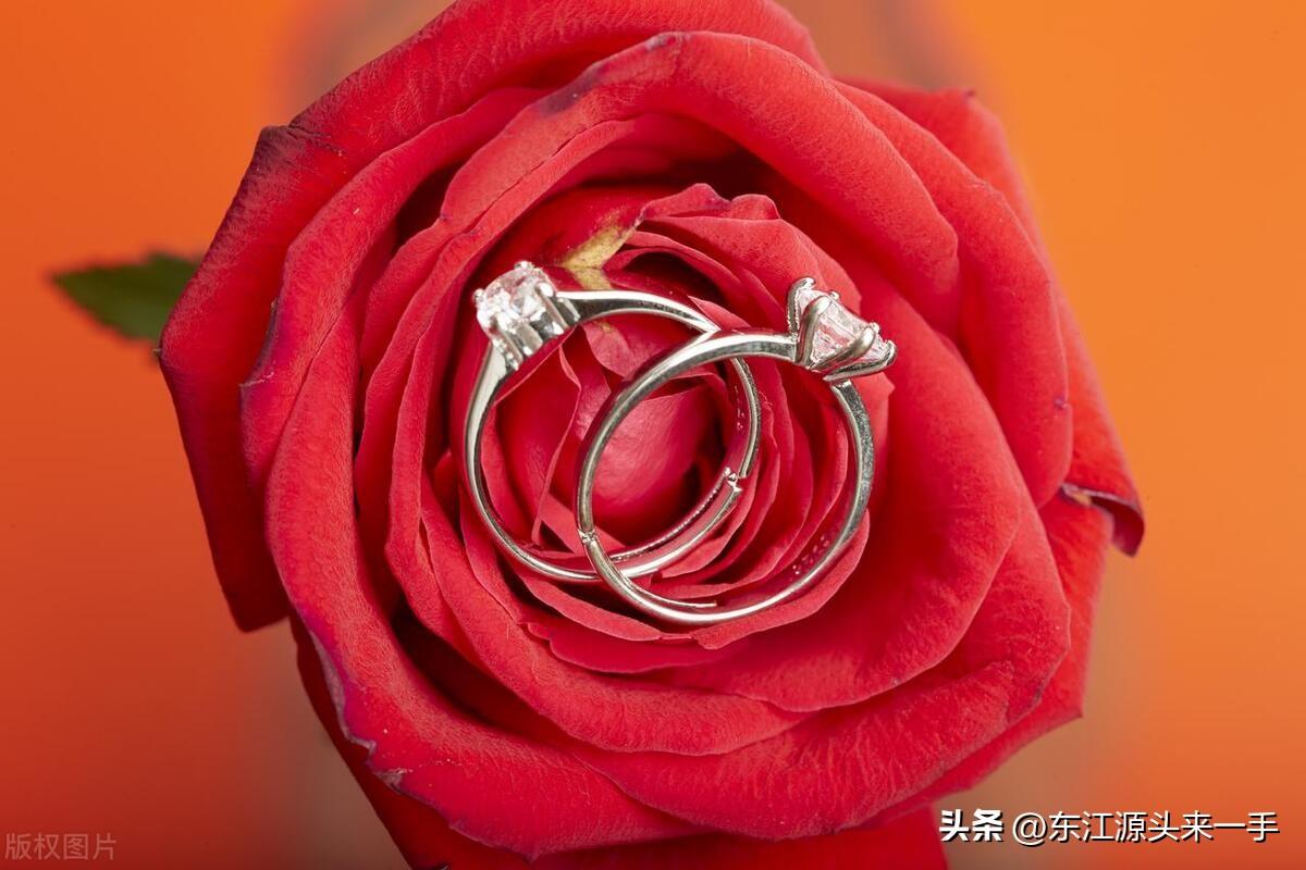 金婚银婚是多少年（金婚和银婚分别是多少年）