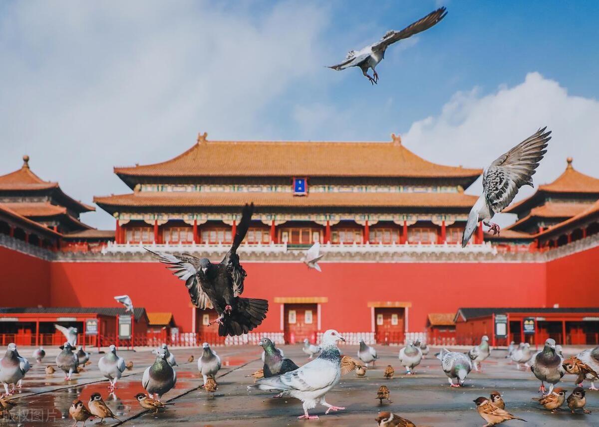 北京有哪些好玩的地方（北京最值得打卡的6大景点）