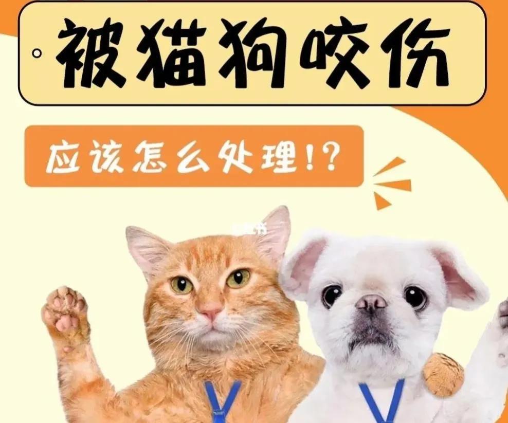 让狗牙蹭破一点皮没事吧（被狗狗牙齿蹭破一点皮出血要不要打狂犬疫苗）