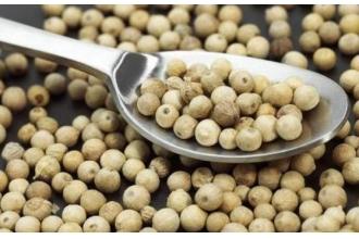 白胡椒不能食用对象（哪些人不能吃白胡椒）