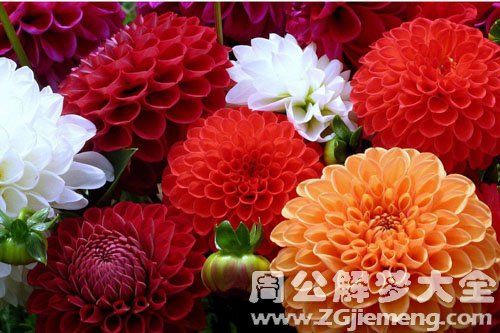 已婚女人梦见花什么预兆（解释已婚女性梦见花的吉祥预兆和象征意义）