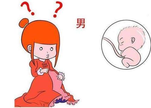 男孩超过预产期出生率是否增加 (预产期延后与男婴概率)