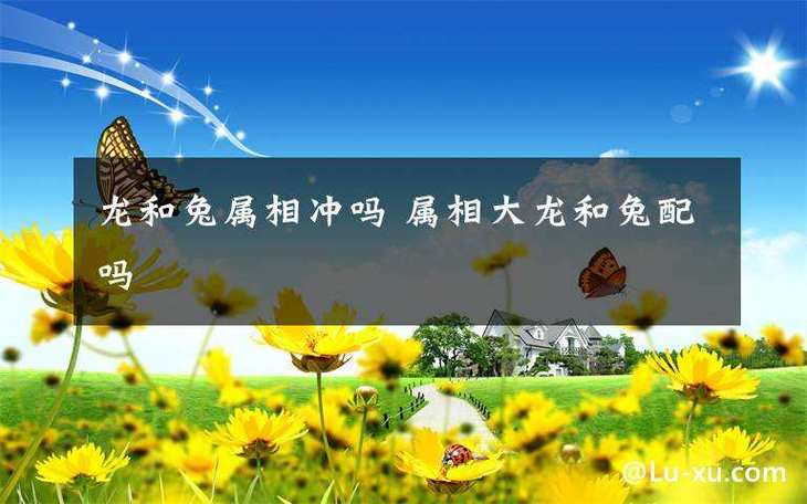 女龙男兔适合做夫妻吗（探讨女龙和男兔的配对适合度和婚姻前景）