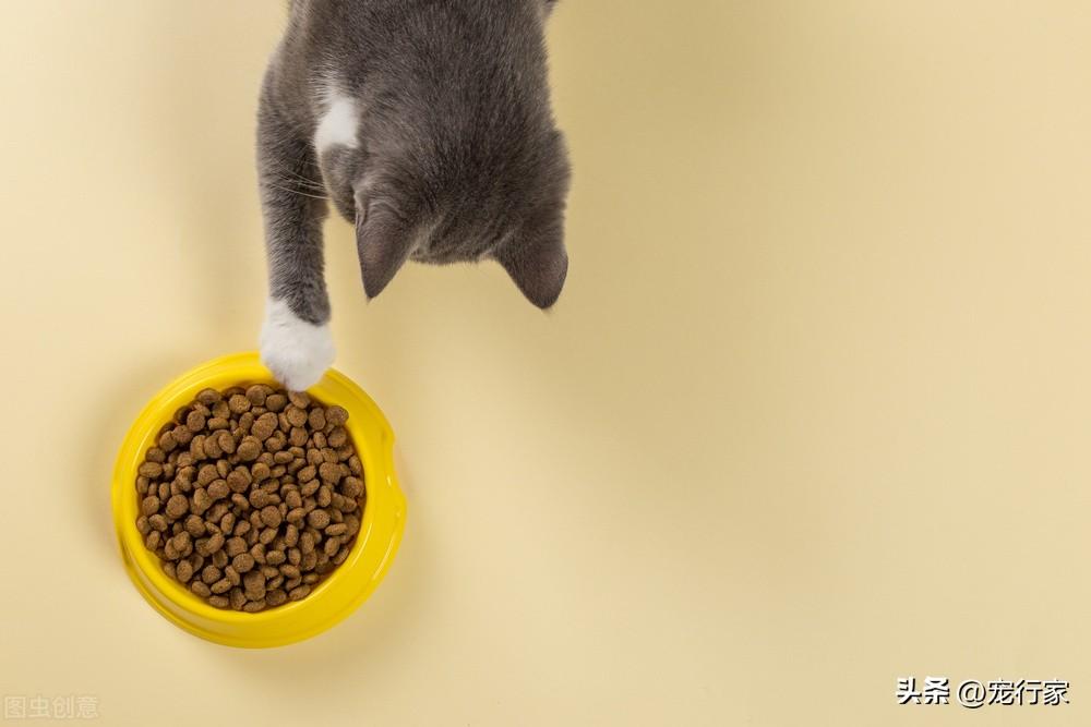 国产猫粮哪个牌子质量好（国产猫粮比较好的牌子）
