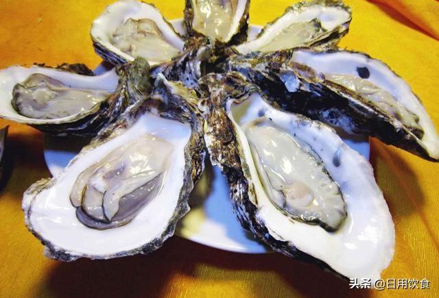 吃生蚝能喝啤酒吗（生蚝一次最多可以吃多少个）