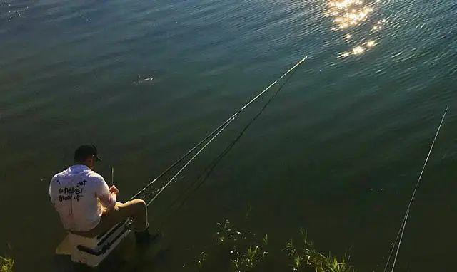 晚上钓鱼钓深还是浅什么位置（揭示晚上钓鱼的最佳深度和钓点选择）