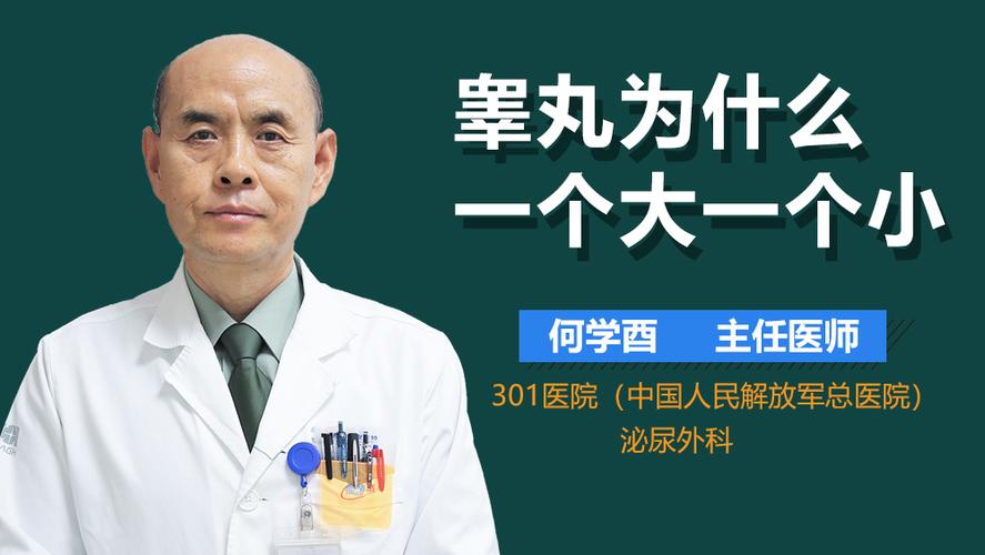 一个睾丸价值多少钱（一个睾丸的市场估值是多少）
