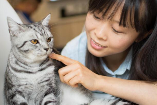 小猫养多久才认主人（小猫需要多久时间才能认主人）