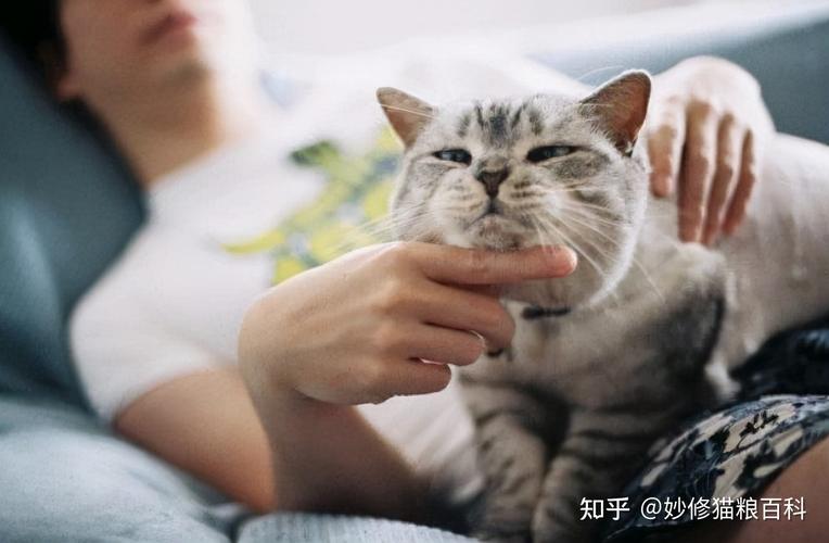 养猫的女生什么性格（养猫女生的性格分析和特点）