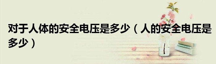 人体安全电压 (解答人体接触电流的安全标准和事故防范)