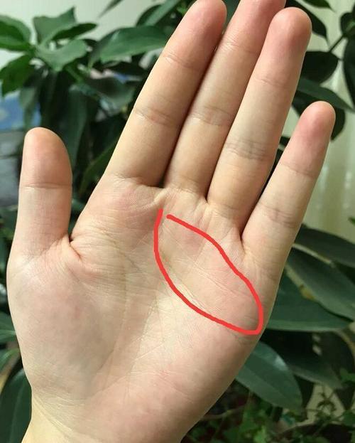 什么样的手相最有福气（揭秘手相特征中最具福气的类型与解读）