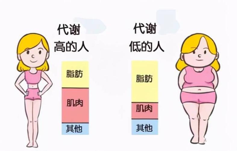 新陈代谢慢的表现（详细了解新陈代谢缓慢的体征和相关调节方法）