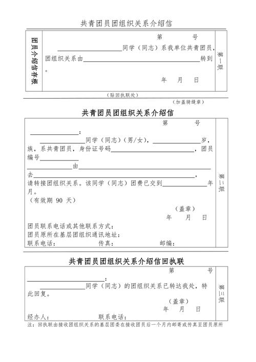 初中团员有什么好处和待遇（解析初中团员身份的优势和收获）
