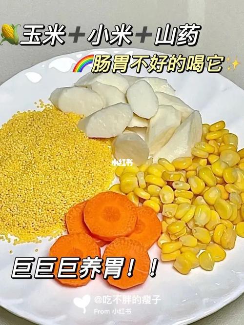 养胃的东西有哪些 (介绍养胃的食物和饮品推荐)