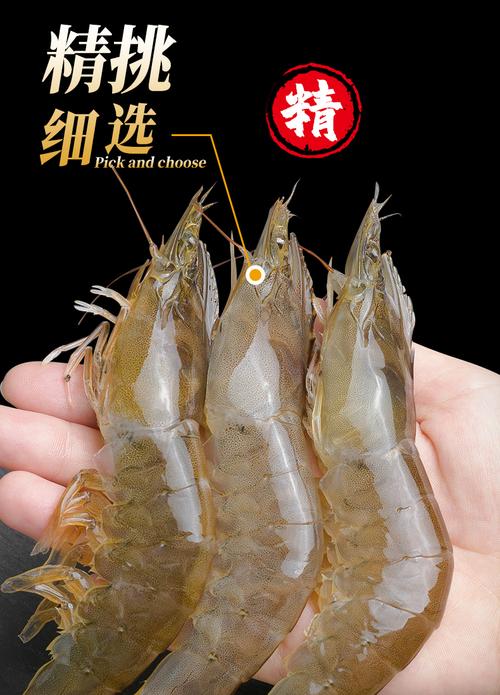 基围虾的储存方法（介绍基围虾的储存和保鲜技巧）